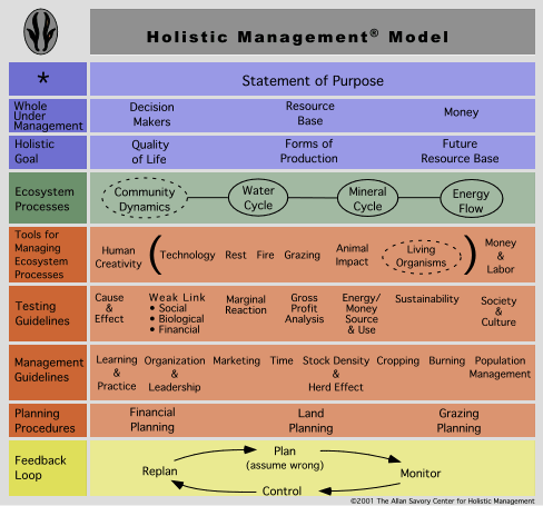 holistic.management